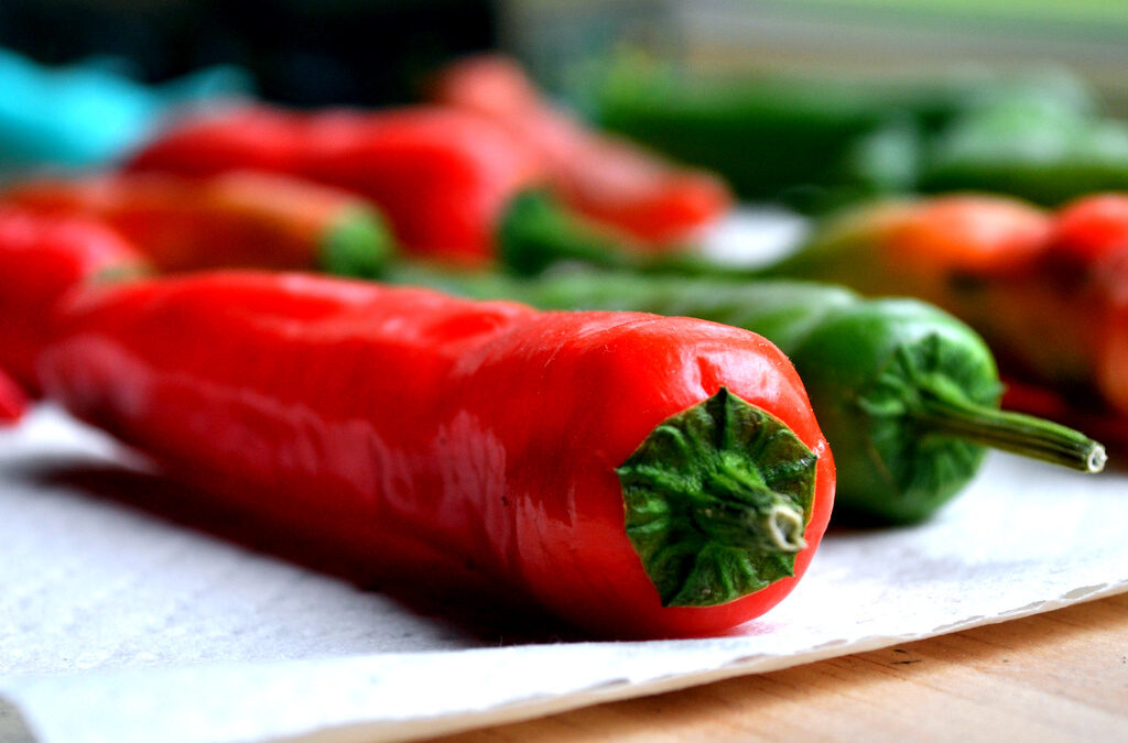 The Winter Garden… chillis, marigolds, beans, oh my!