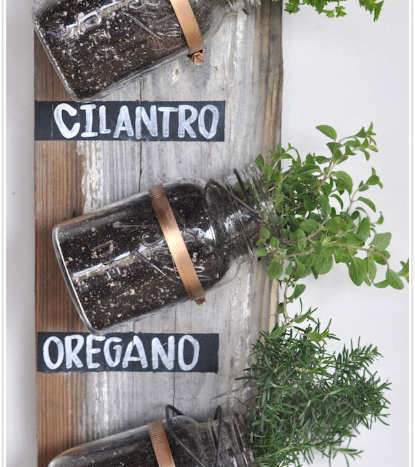 Today I Like… {9/4/12} Mason Jar Herb Garden