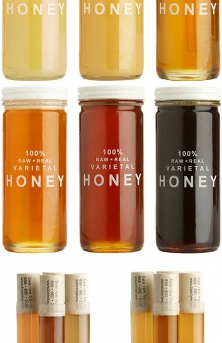 {Noms} Raw Varietal Honey