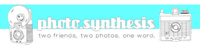 Photosynthesis ~ Assistant